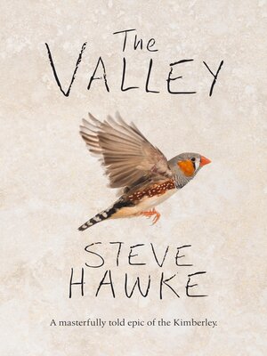 cover image of The Valley
